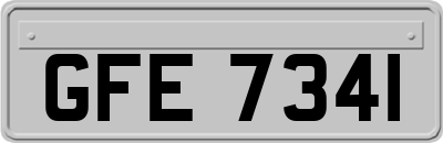 GFE7341