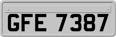 GFE7387