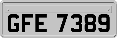 GFE7389