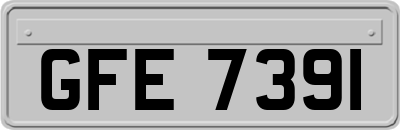 GFE7391
