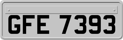 GFE7393
