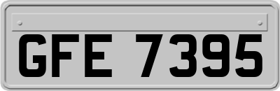 GFE7395