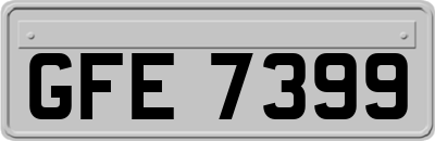 GFE7399