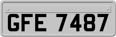 GFE7487