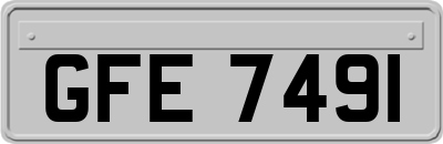 GFE7491