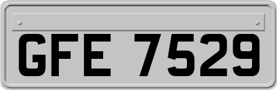 GFE7529