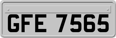 GFE7565