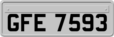 GFE7593
