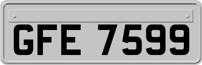 GFE7599