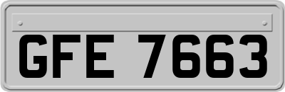 GFE7663