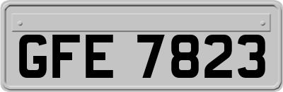 GFE7823