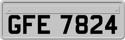 GFE7824