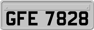 GFE7828