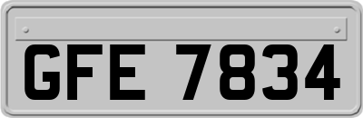 GFE7834