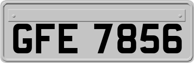 GFE7856