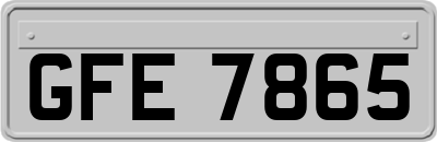 GFE7865
