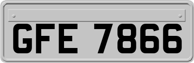 GFE7866