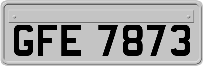 GFE7873