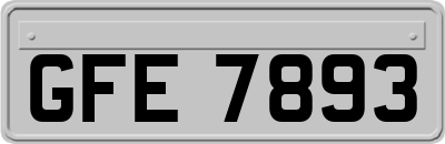 GFE7893