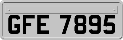 GFE7895