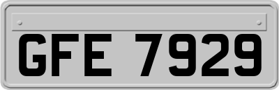 GFE7929