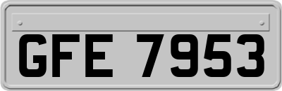 GFE7953