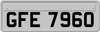 GFE7960