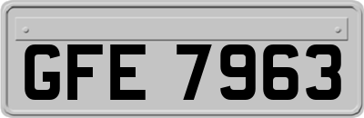 GFE7963