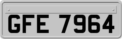 GFE7964