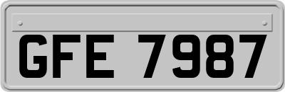GFE7987