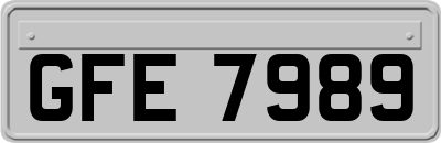 GFE7989