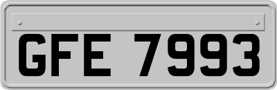 GFE7993