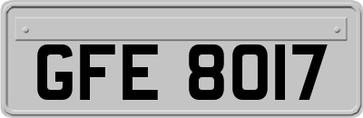GFE8017