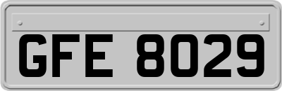 GFE8029