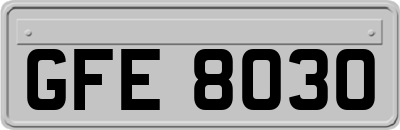 GFE8030