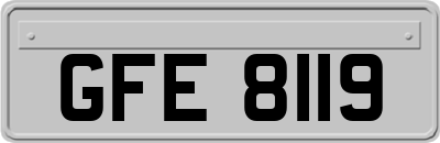 GFE8119