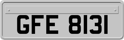GFE8131