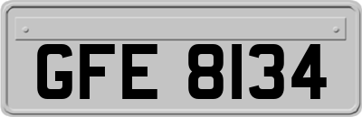 GFE8134