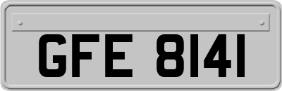 GFE8141