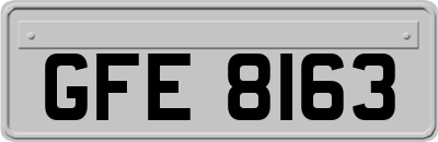 GFE8163