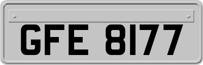 GFE8177