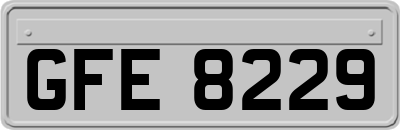 GFE8229