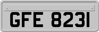 GFE8231