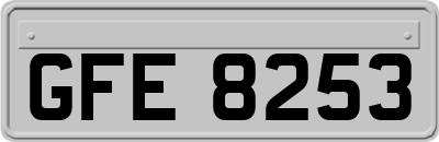 GFE8253