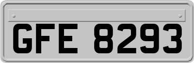 GFE8293