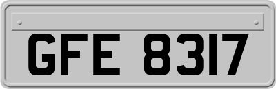 GFE8317