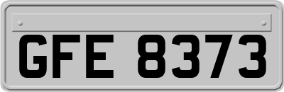 GFE8373