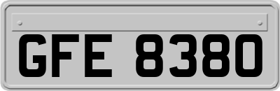 GFE8380