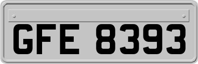 GFE8393