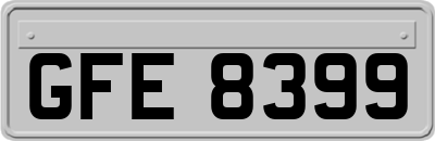 GFE8399